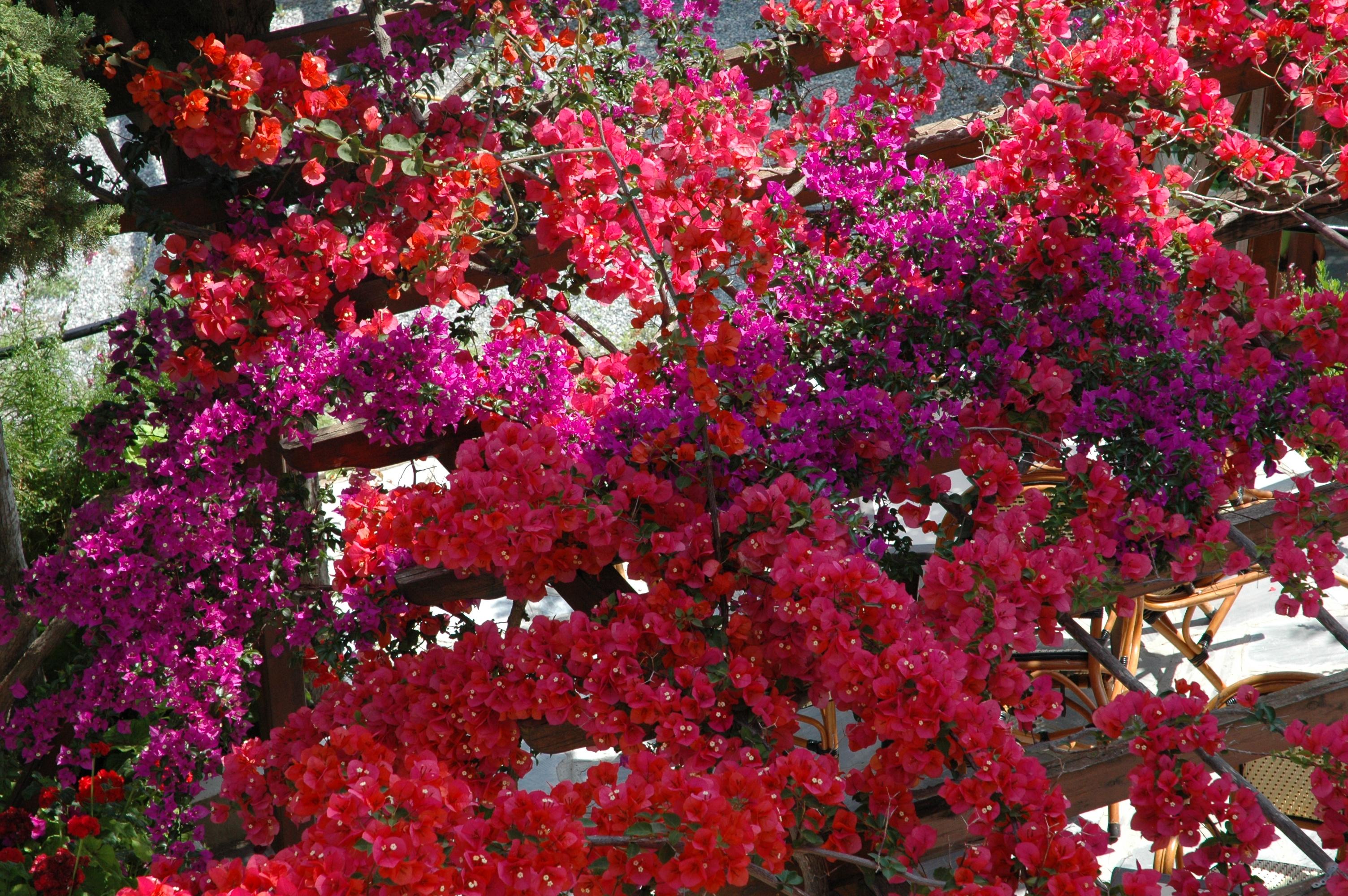Kerveli Village Hotel Bagian luar foto